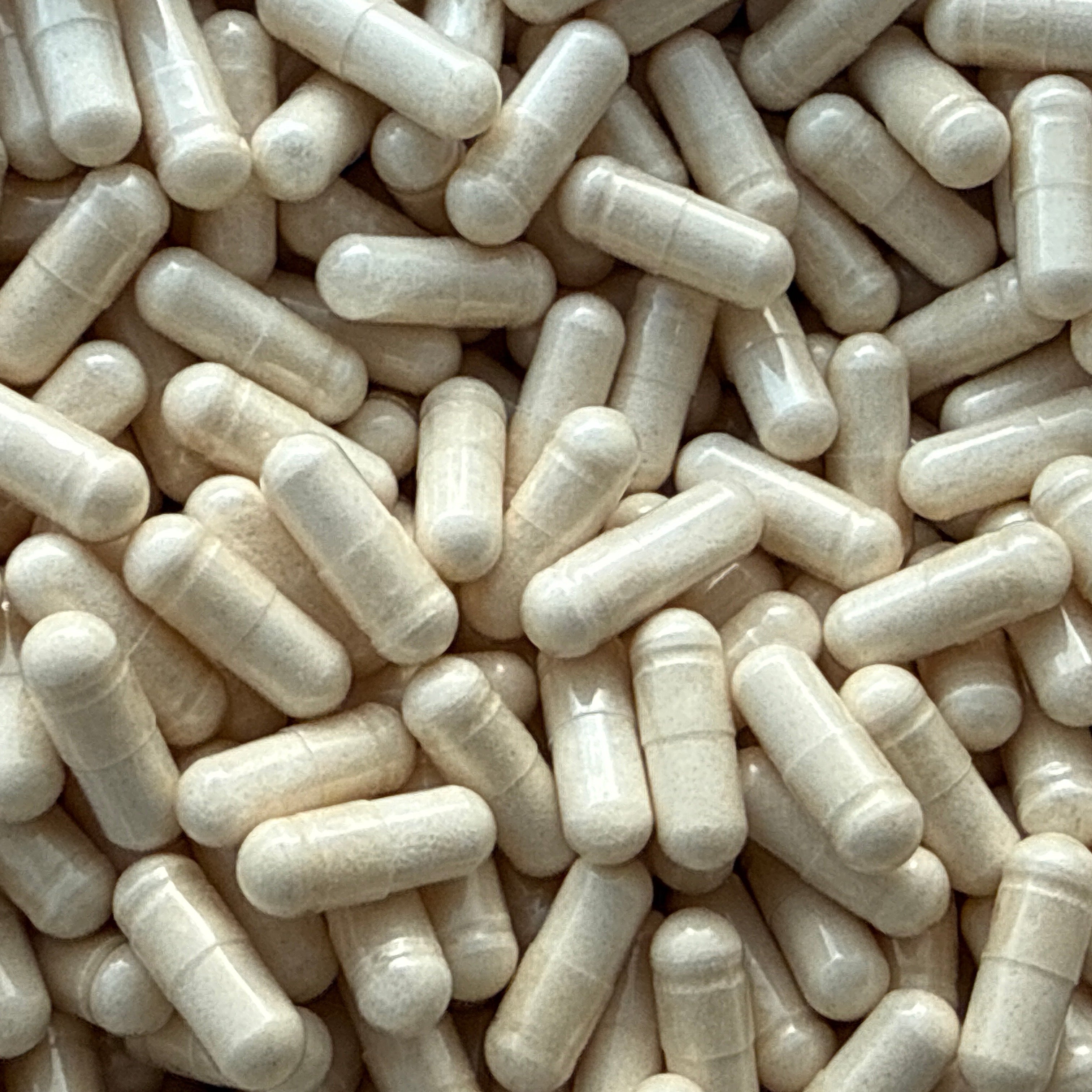 Beta-Ecdysterone 98% – Capsules – BulkLab Nutrition