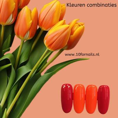TFN Gel Lak Nr. 307 Neon Oranje - Hoogwaardige Gellak