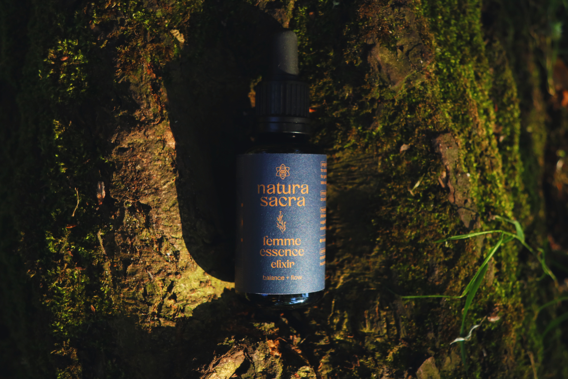 Kroppslig femme-samling
