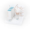 Skumrengöringsdisplay (50 ml)